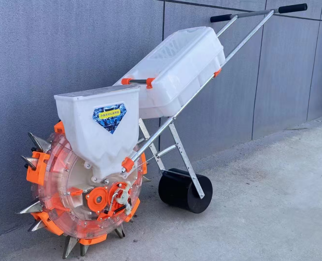 সার দিয়ে বীজ